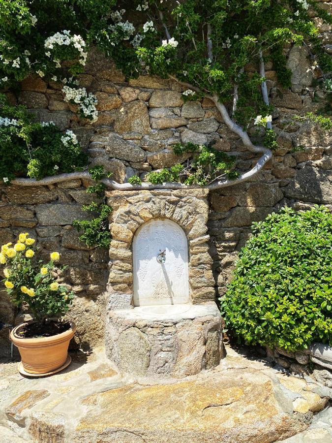Apanema Villas, Mykonos Tourlos Bagian luar foto