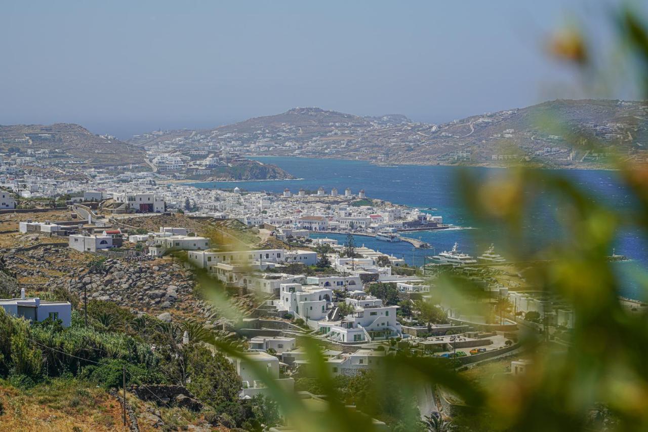 Apanema Villas, Mykonos Tourlos Bagian luar foto